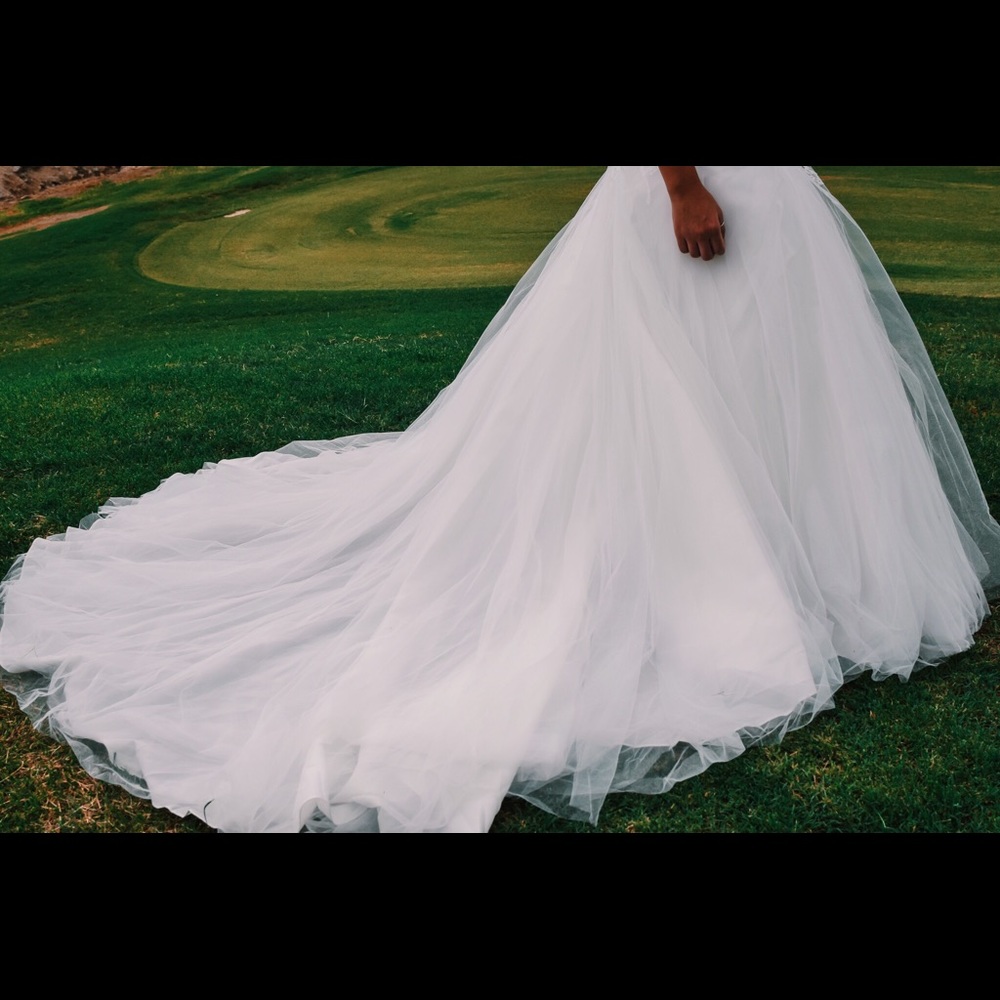 LanTing Wedding Dress- Only Worn for Pictures